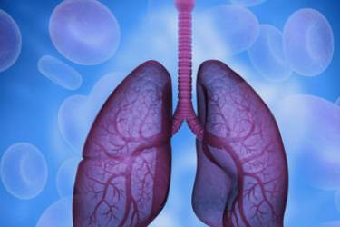 Treatment and Care: Lung transplantation