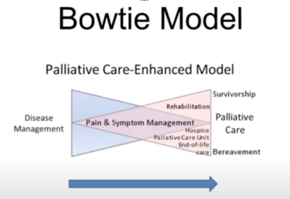 Bowtie Model of Palliative Care